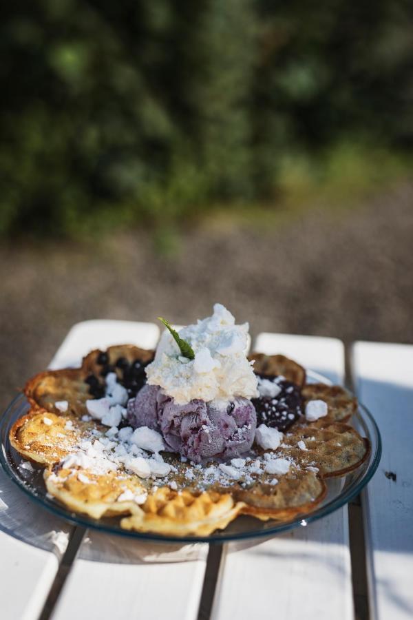 Dannäs Vaffelcafe Bed & Breakfast المظهر الخارجي الصورة
